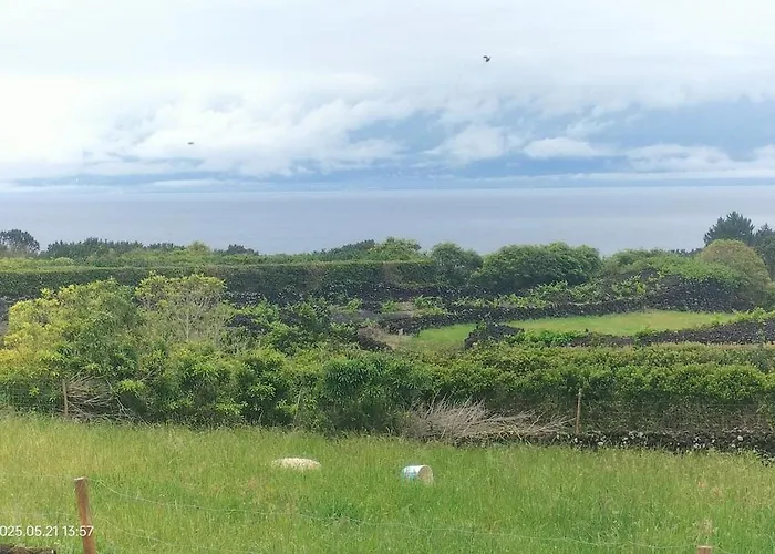 Adega Do Xano Cais do Galego